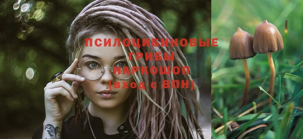 прущая мука Белоозёрский